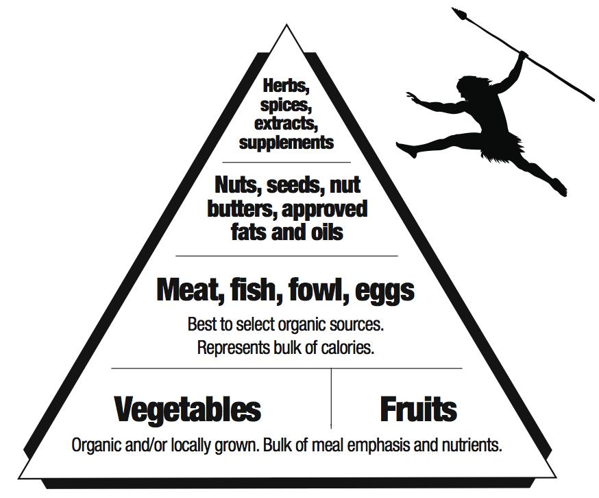 usda food pyramid 2011. usda food pyramid 2011.